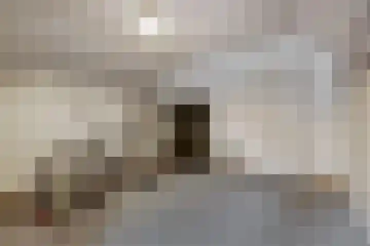 Lindenlaan 9 Bergen L thumbnail 22