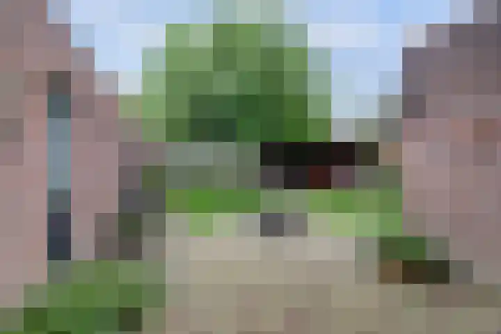 Lindenlaan 9 Bergen L thumbnail 23