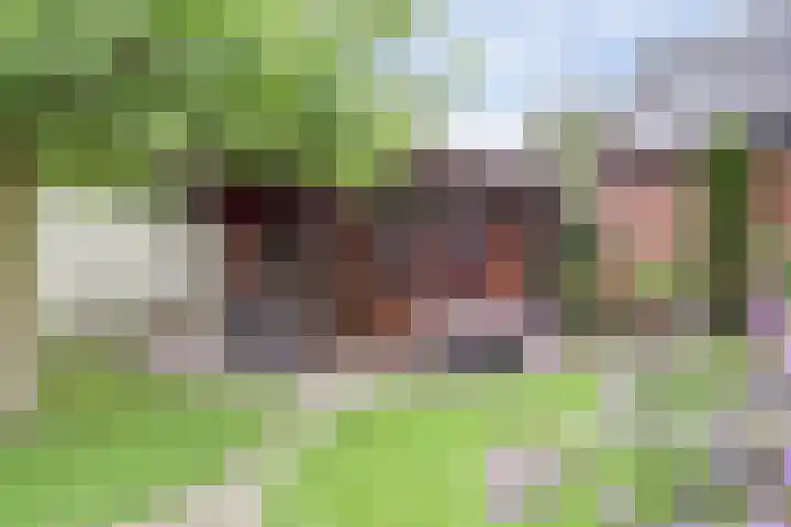 Lindenlaan 9 Bergen L thumbnail 25
