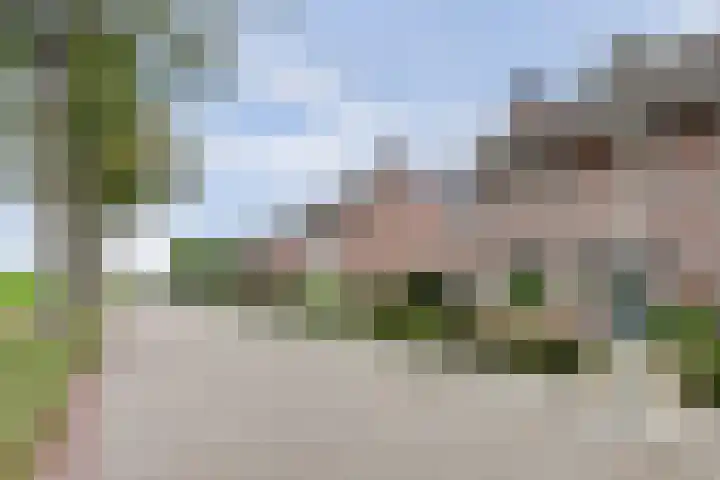 Lindenlaan 9 Bergen L thumbnail 4