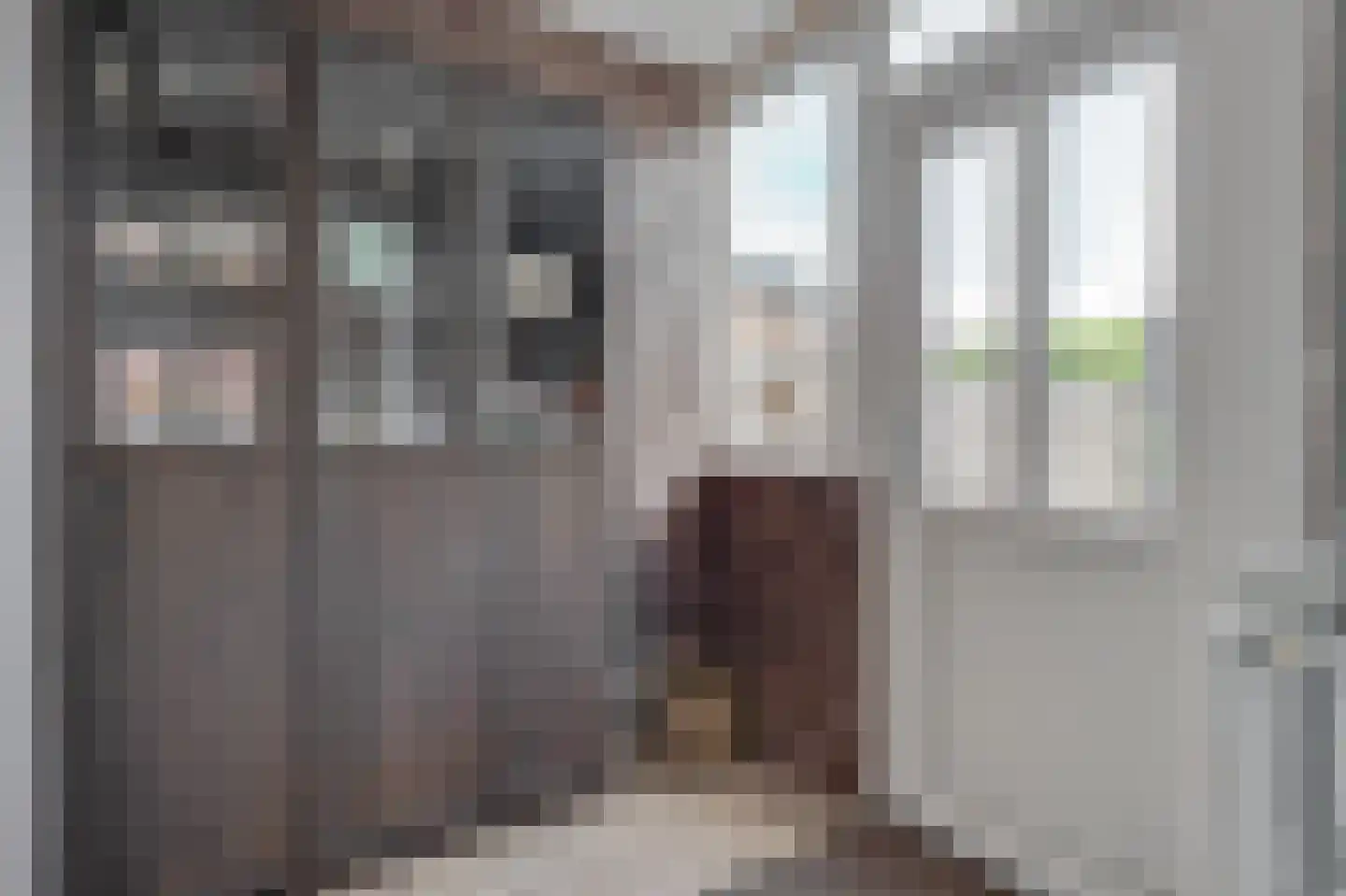Lindenlaan 9 Zuid-Scharwoude thumbnail 11