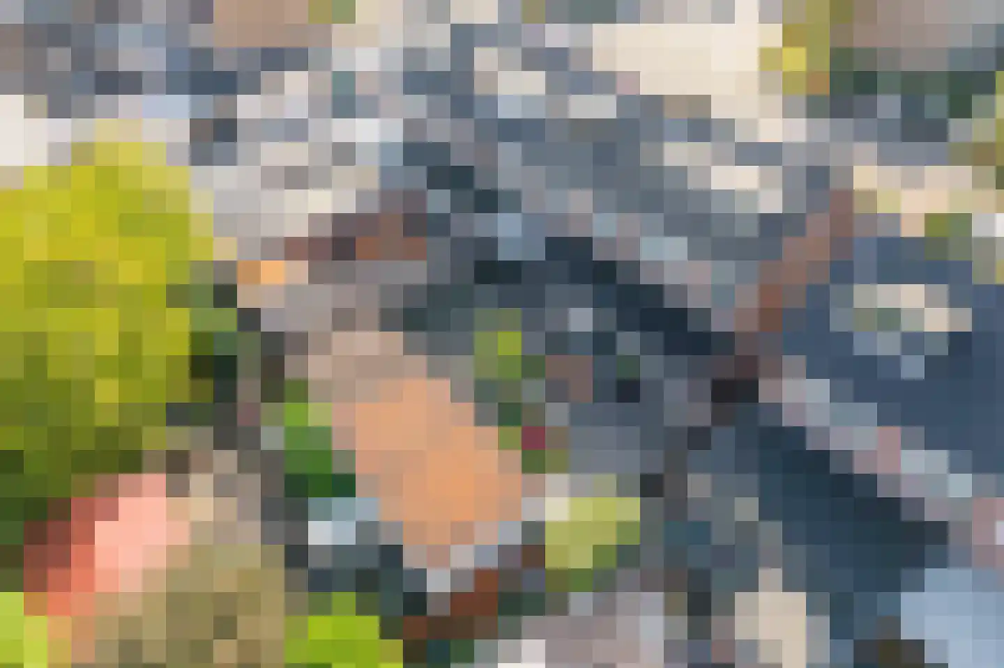 Lindenlaan 9 Zuid-Scharwoude thumbnail 40