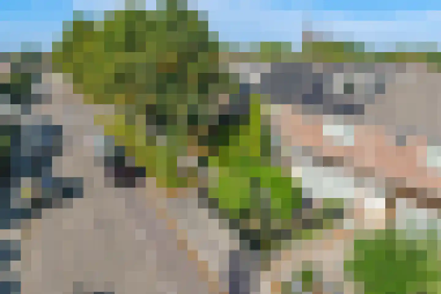 Lindenlaan 9 Zuid-Scharwoude thumbnail 42