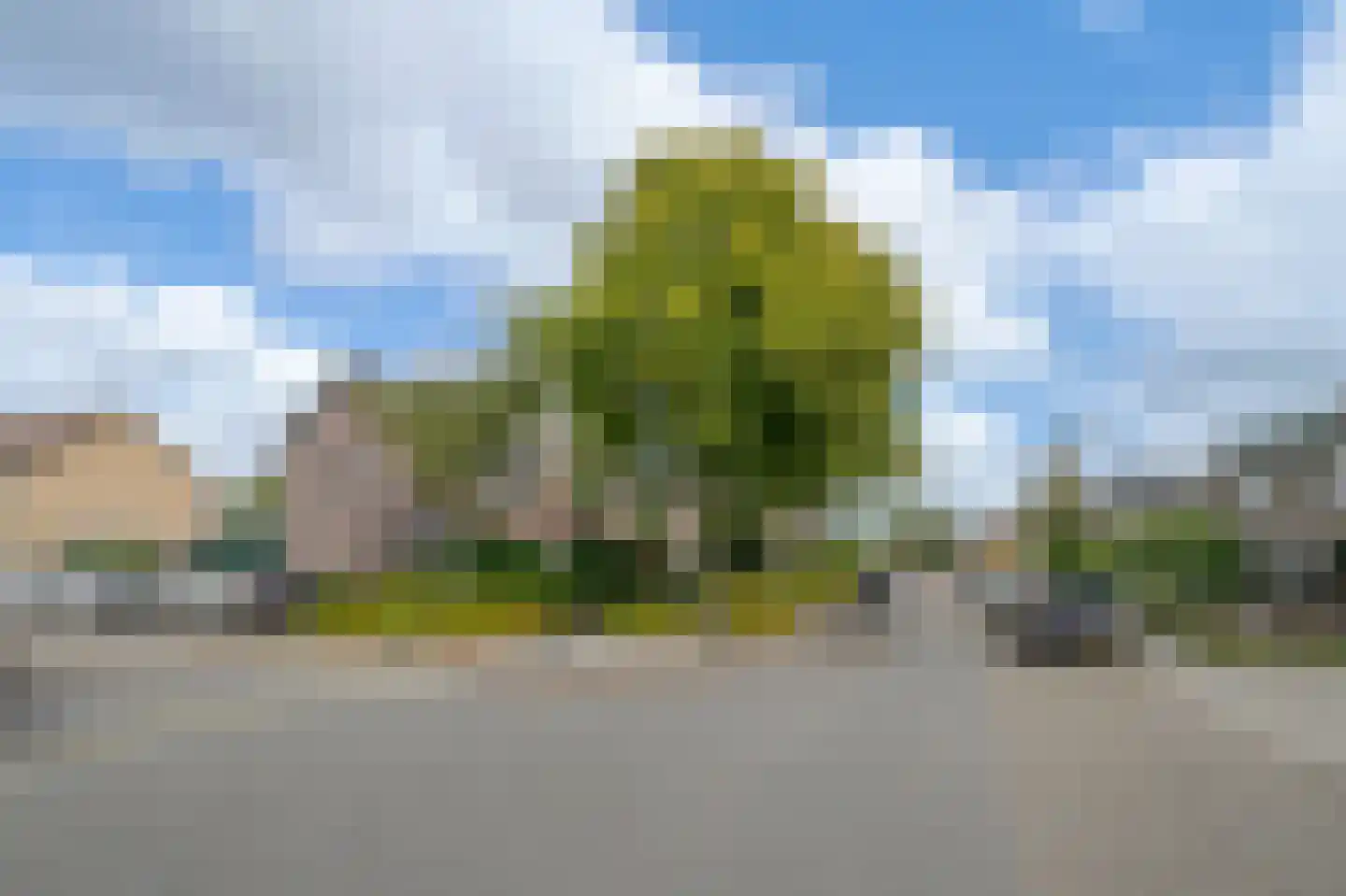 Lindenlaan 9 Zuid-Scharwoude thumbnail 43