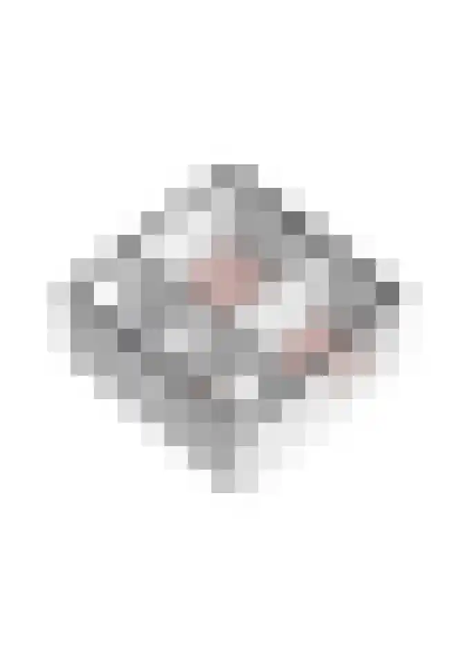 Lindenlaan 9 Zuid-Scharwoude thumbnail 47