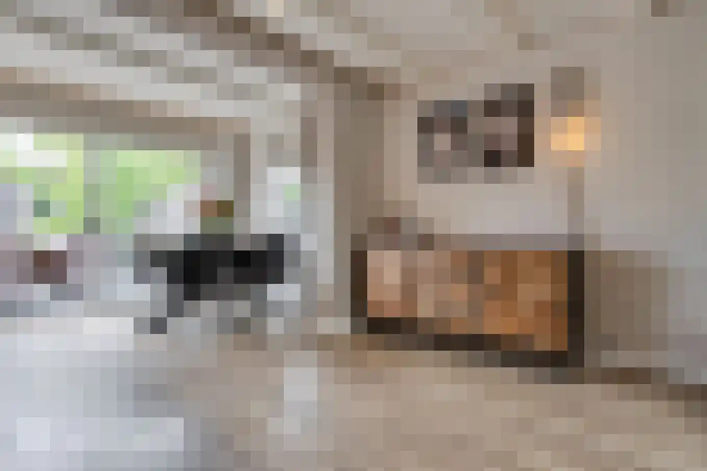 Lindenlaan 9 Zuid-Scharwoude thumbnail 6