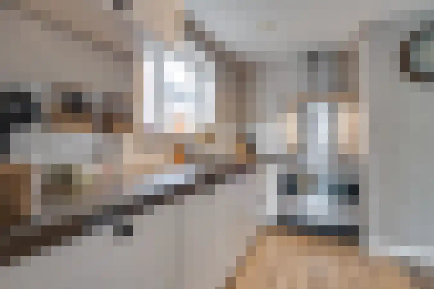 Lindenlaan 9 Zuid-Scharwoude thumbnail 8