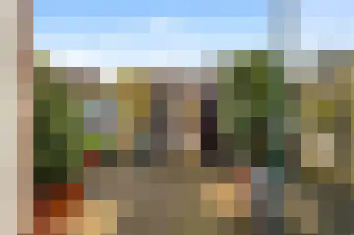 Lindenlaan 90 Castricum thumbnail 14