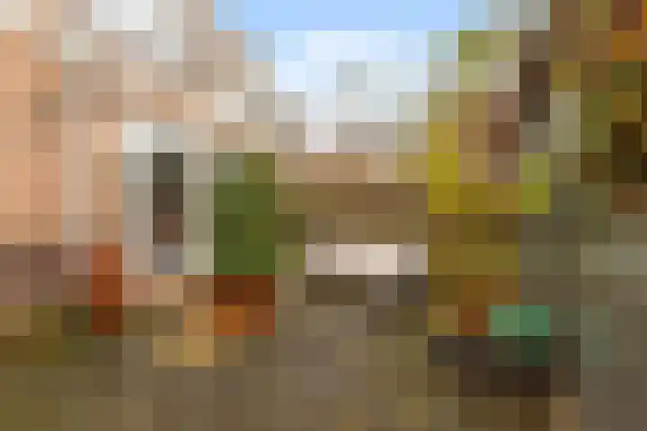 Lindenlaan 90 Castricum thumbnail 15
