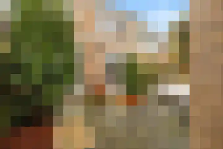 Lindenlaan 90 Castricum thumbnail 16