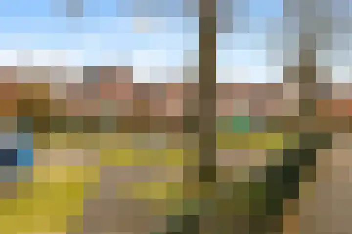 Lindenlaan 90 Castricum thumbnail 36