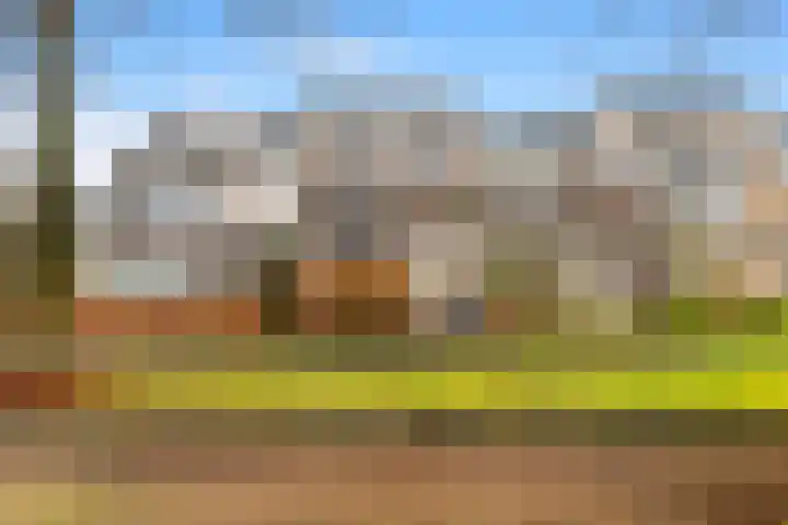 Lindenlaan 90 Castricum thumbnail 37