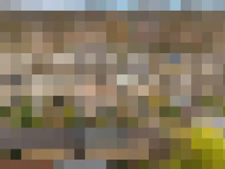 Lindenlaan 90 Castricum thumbnail 38