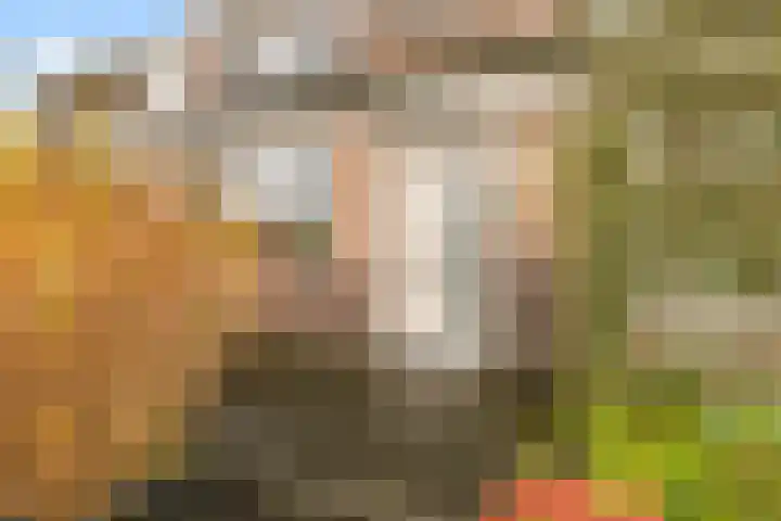 Lindenlaan 90 Castricum thumbnail 39