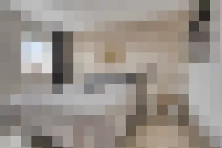 Lindenoord 2 Wolvega thumbnail 11