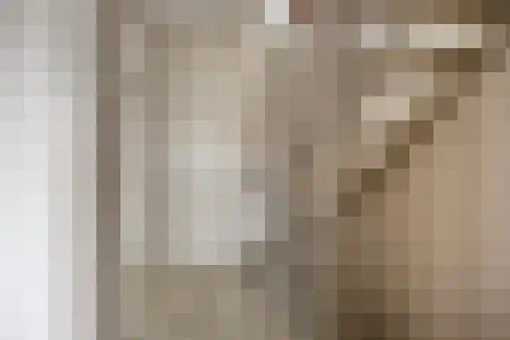 Lindenoord 2 Wolvega thumbnail 19