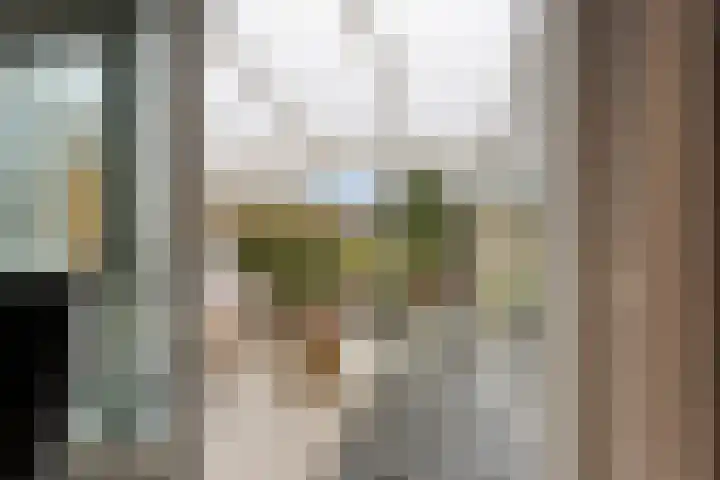 Lindenoord 2 Wolvega thumbnail 4