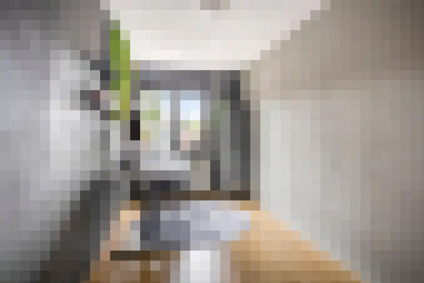 Lindenoord 36 Wolvega thumbnail 16