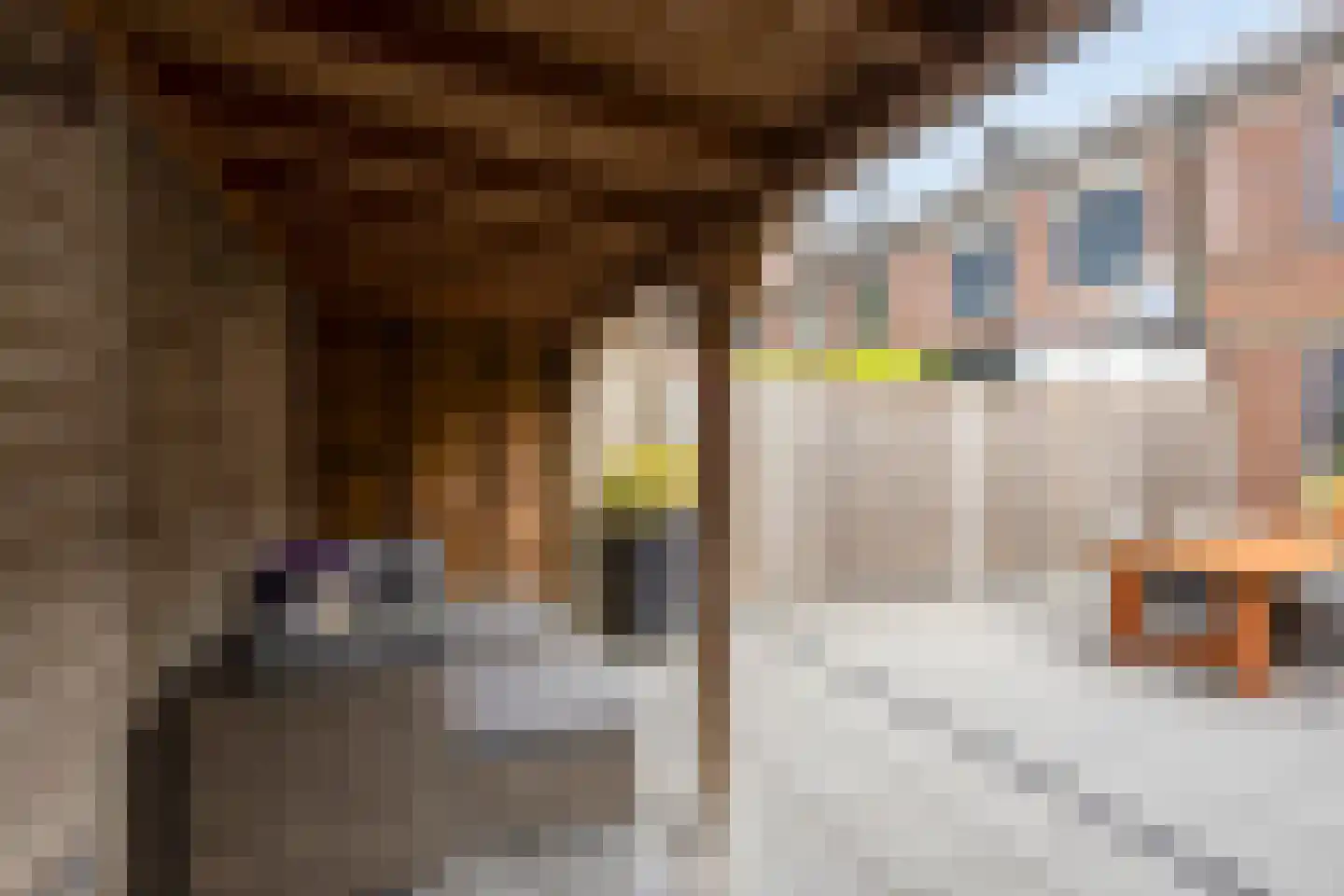 Lindenoord 36 Wolvega thumbnail 24
