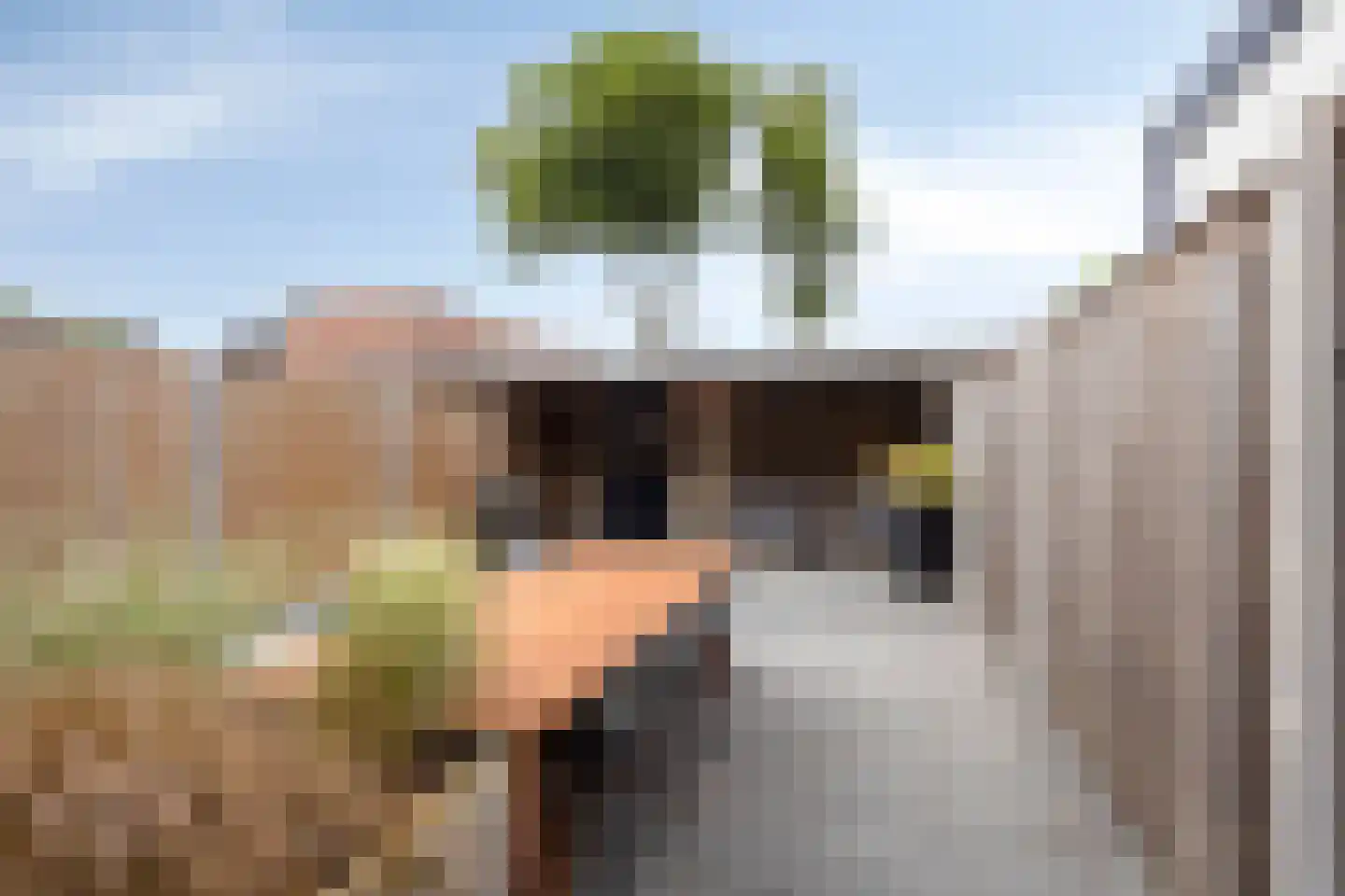 Lindenoord 36 Wolvega thumbnail 25