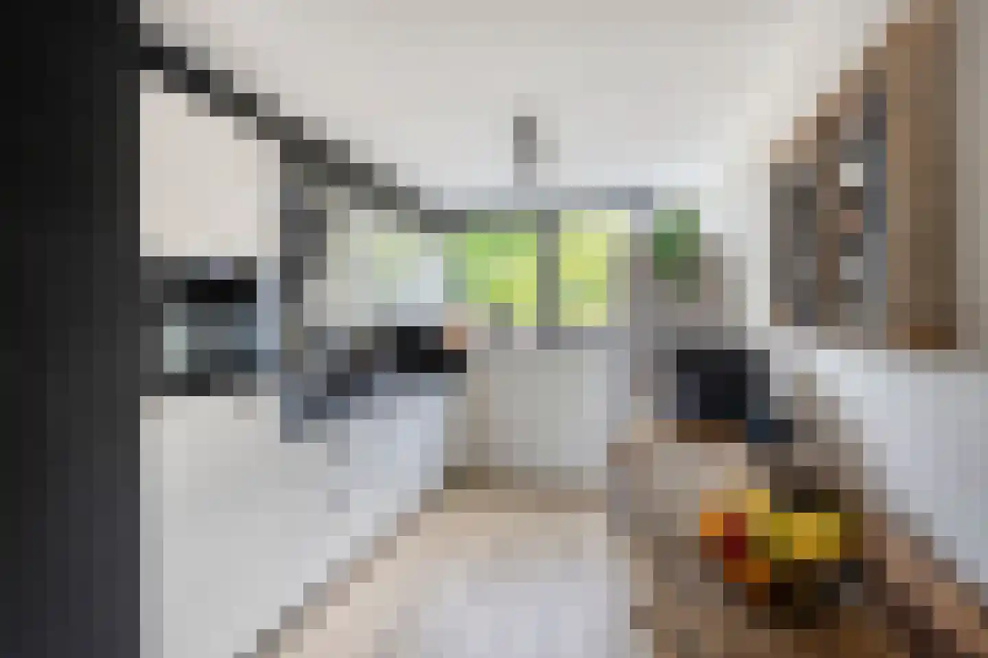 Lindenoord 36 Wolvega thumbnail 7