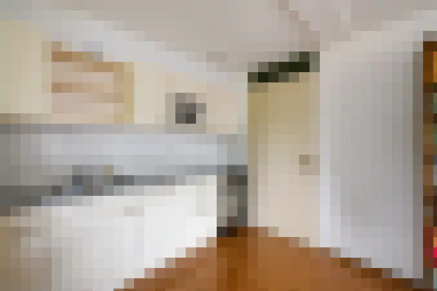 Lindenoord 5 Wolvega thumbnail 11