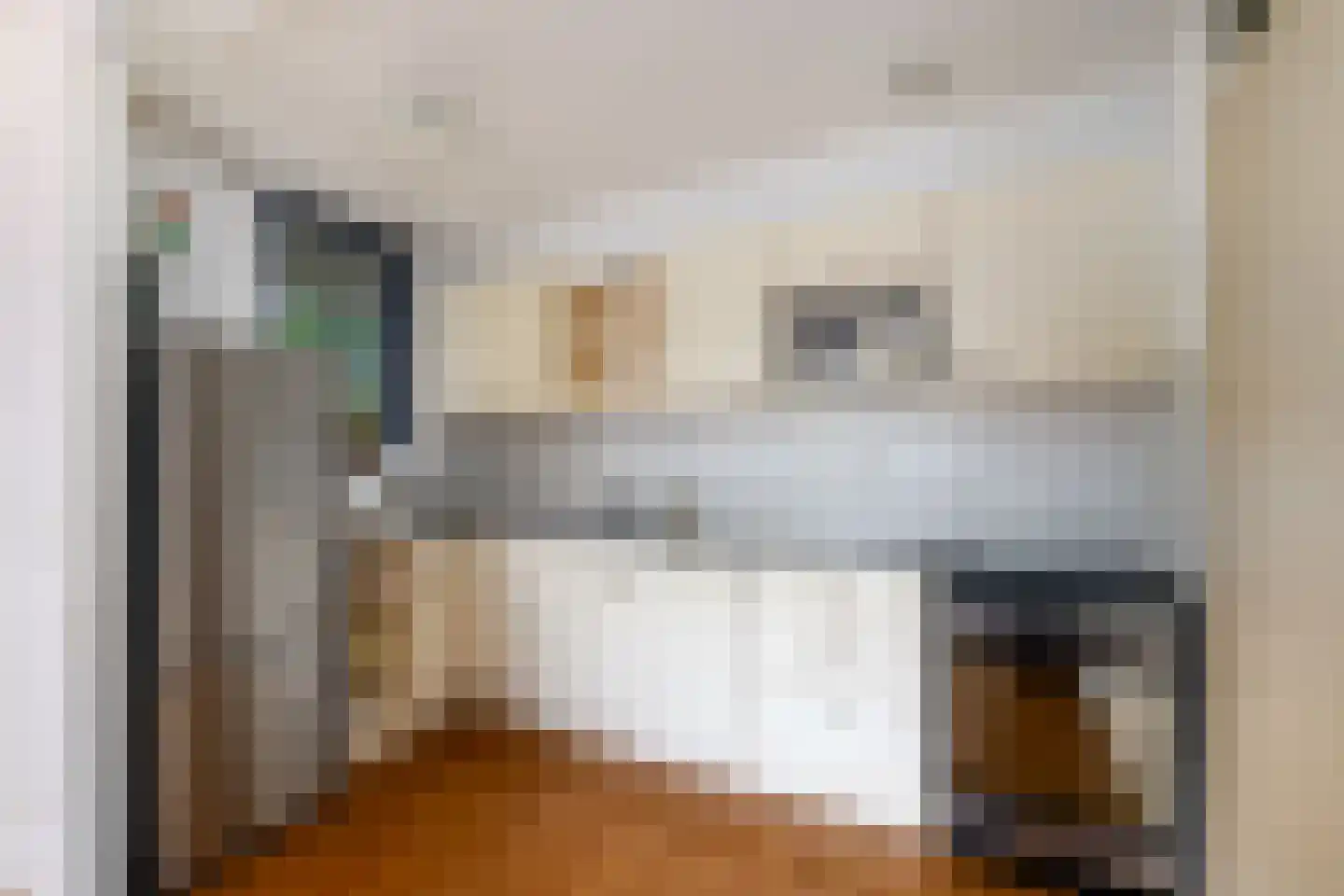 Lindenoord 5 Wolvega thumbnail 12