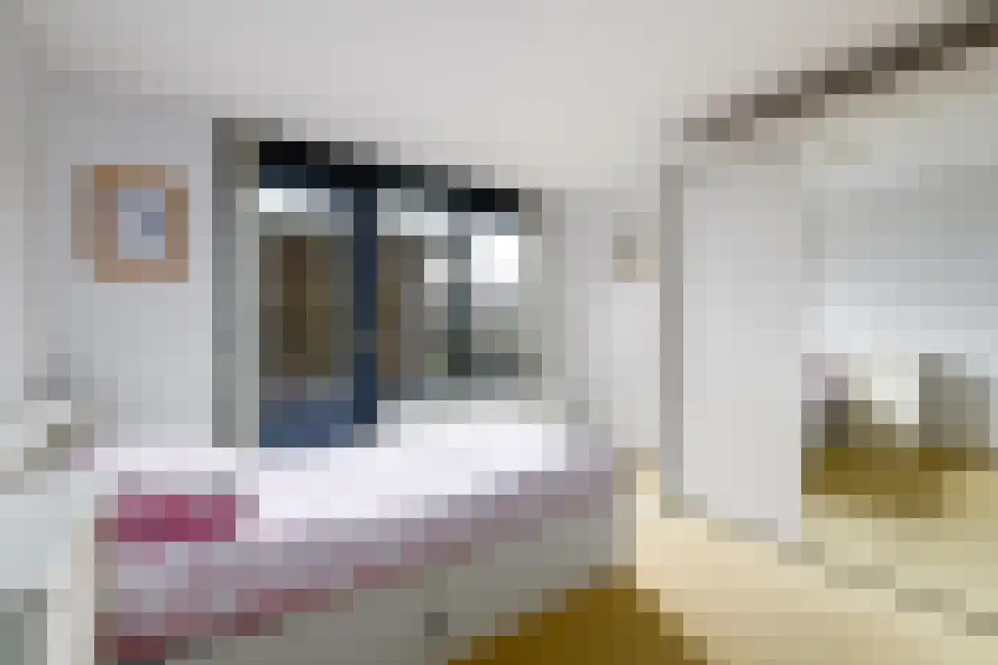 Lindenoord 5 Wolvega thumbnail 14