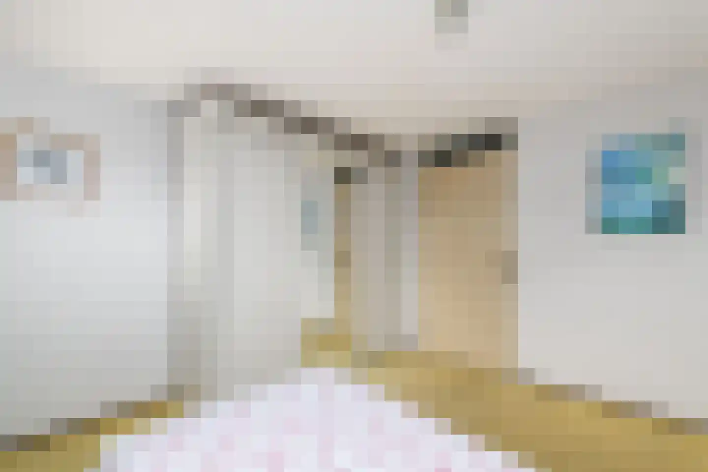 Lindenoord 5 Wolvega thumbnail 15