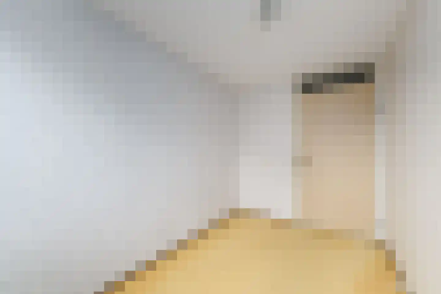 Lindenoord 5 Wolvega thumbnail 17