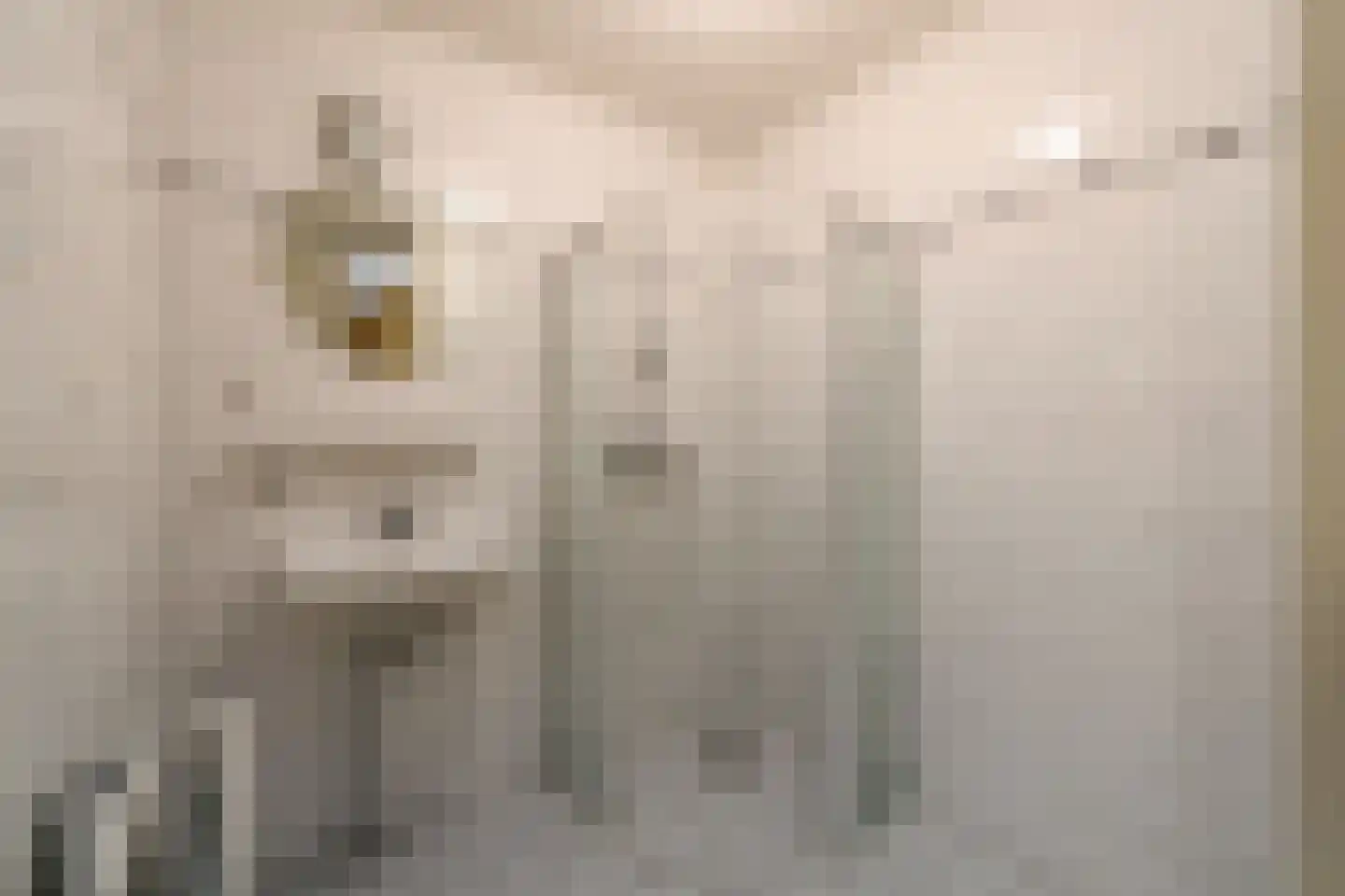 Lindenoord 5 Wolvega thumbnail 18