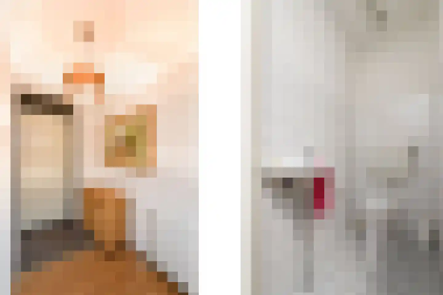 Lindenoord 5 Wolvega thumbnail 19