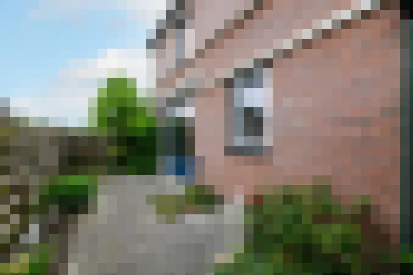 Lindenoord 5 Wolvega thumbnail 23