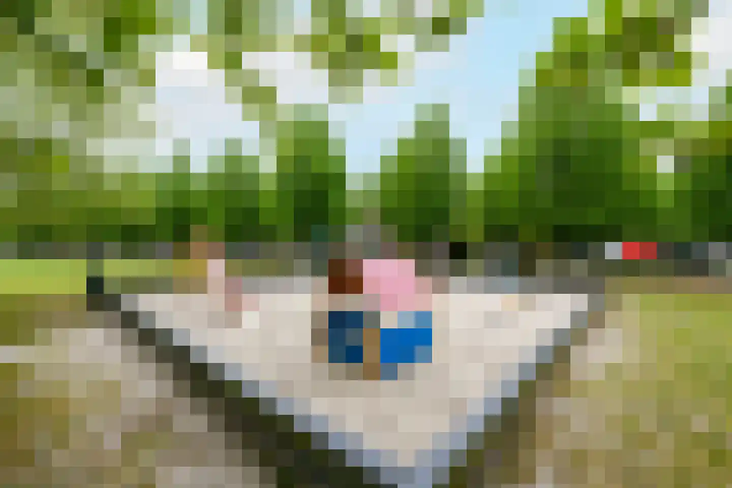 Lindenoord 5 Wolvega thumbnail 26