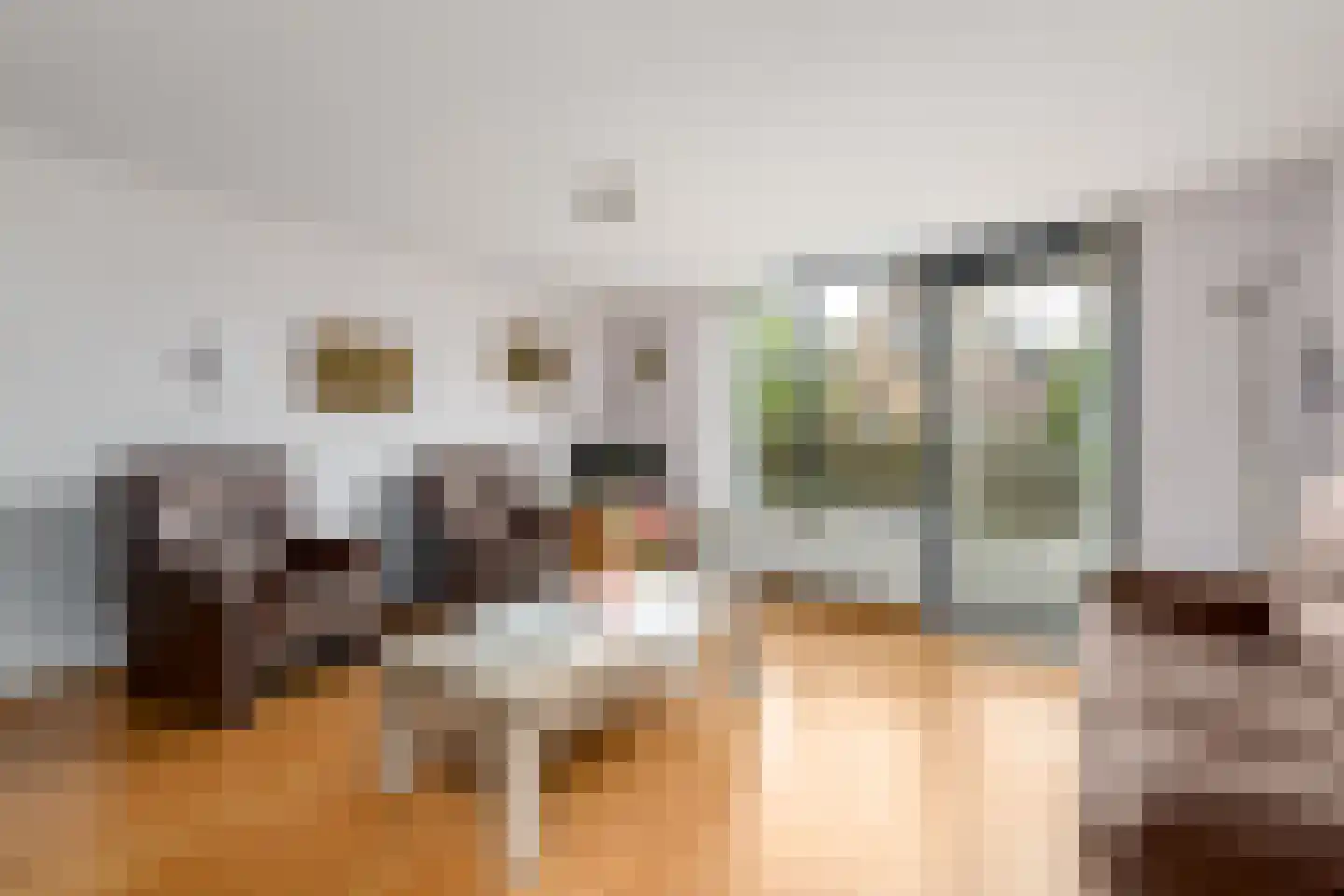 Lindenoord 5 Wolvega thumbnail 5