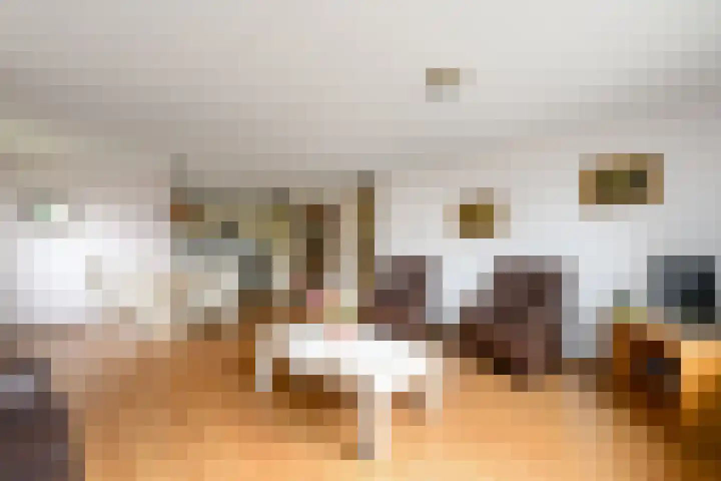 Lindenoord 5 Wolvega thumbnail 6