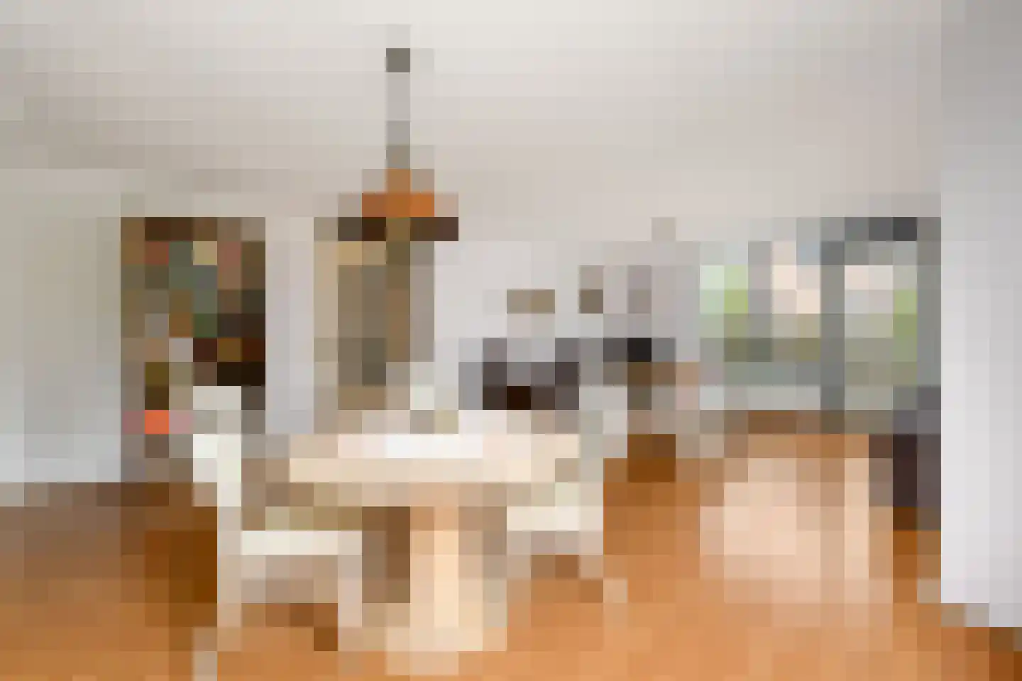 Lindenoord 5 Wolvega thumbnail 8