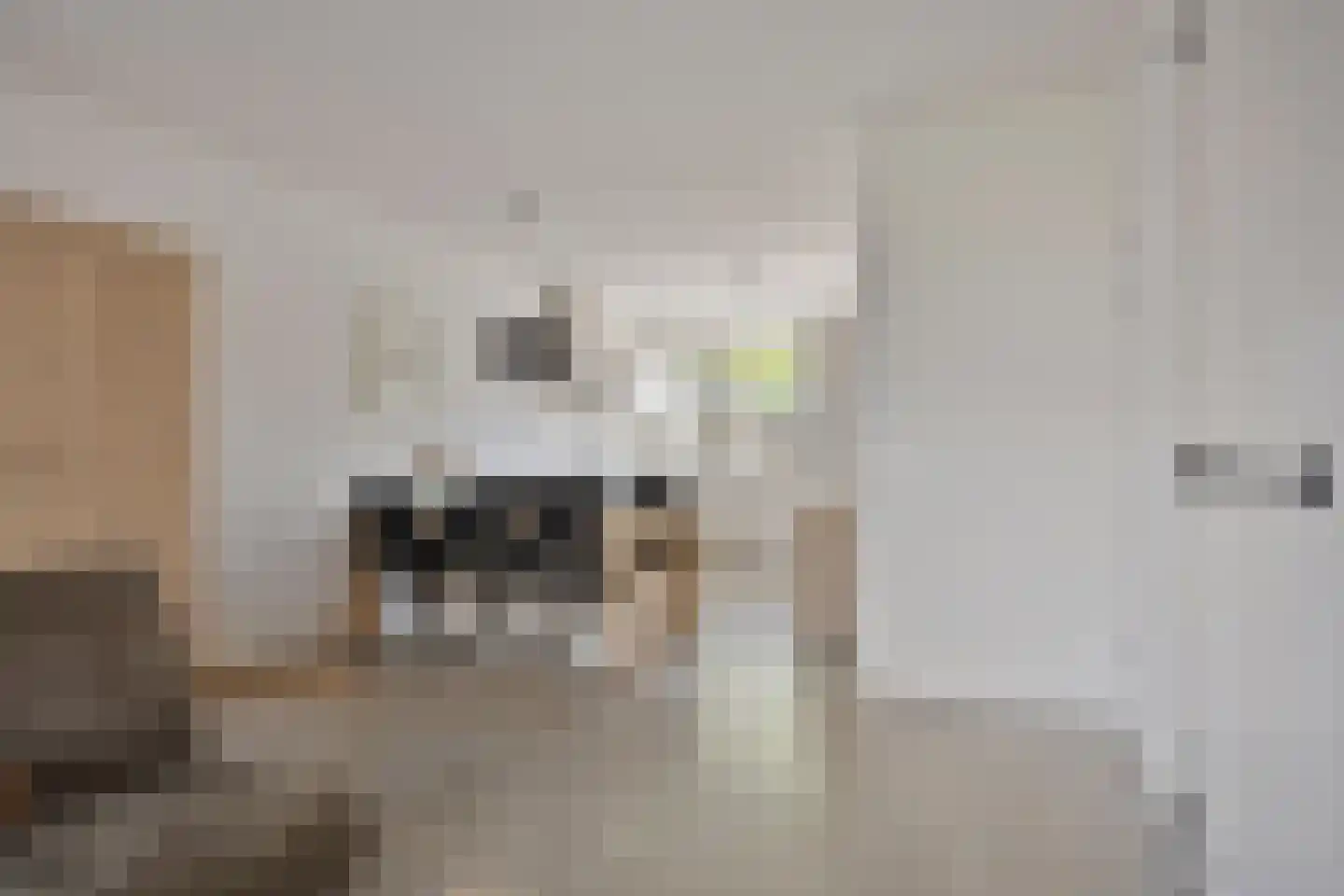 Lindenoord 6 Wolvega thumbnail 5
