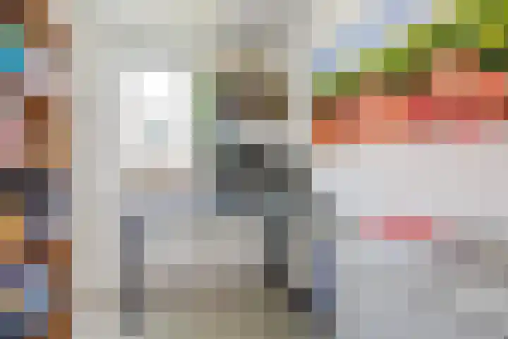 Lindenoord 8 Wolvega thumbnail 22