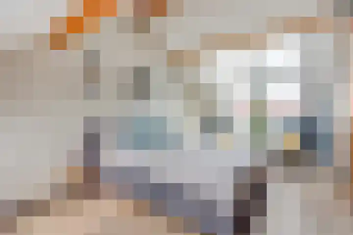 Lindenoord 8 Wolvega thumbnail 28