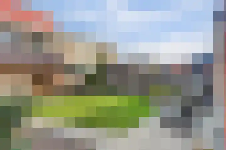 Lindenoord 8 Wolvega thumbnail 30