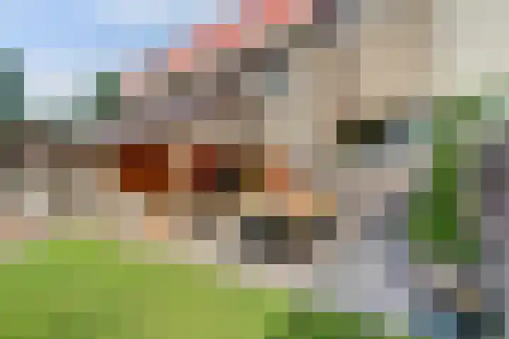 Lindenoord 8 Wolvega thumbnail 35