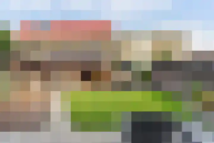 Lindenoord 8 Wolvega thumbnail 36