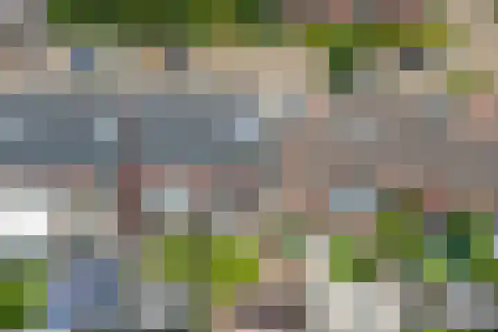 Lindenoord 8 Wolvega thumbnail 38