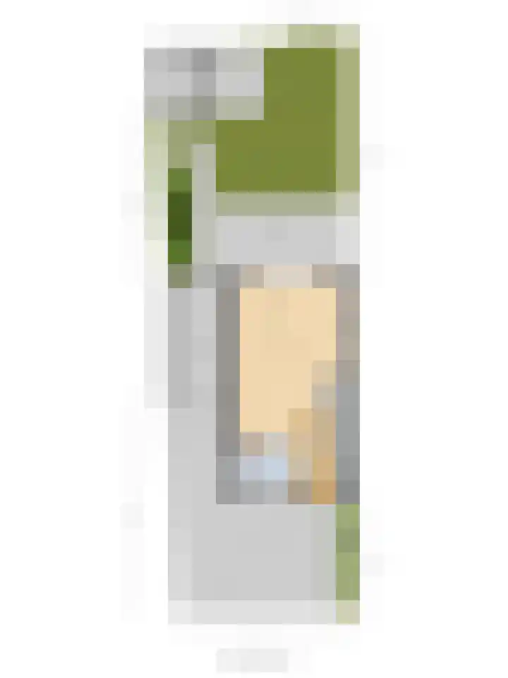 Lindenoord 8 Wolvega thumbnail 41