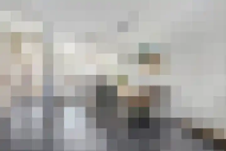 Lindenoord 8 Wolvega thumbnail 5