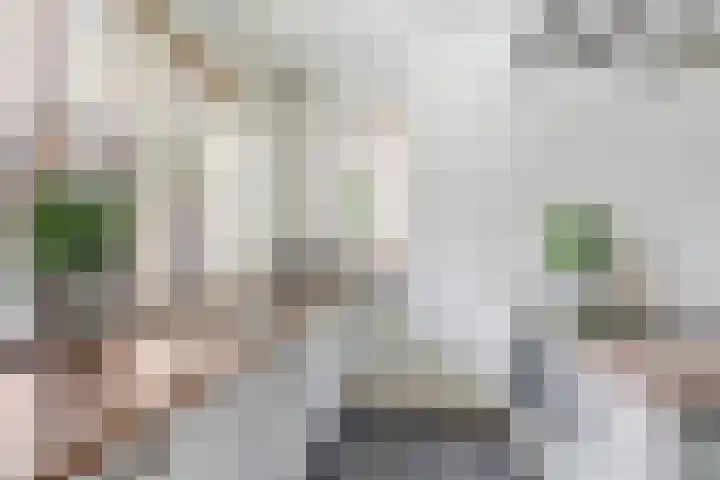 Lindenoord 8 Wolvega thumbnail 7