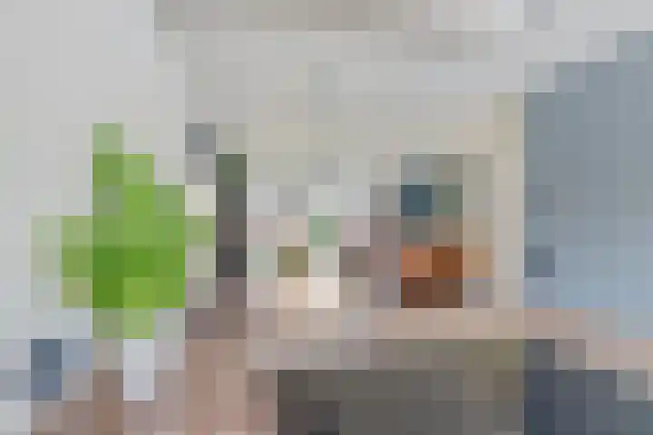 Lindenoord 8 Wolvega thumbnail 8