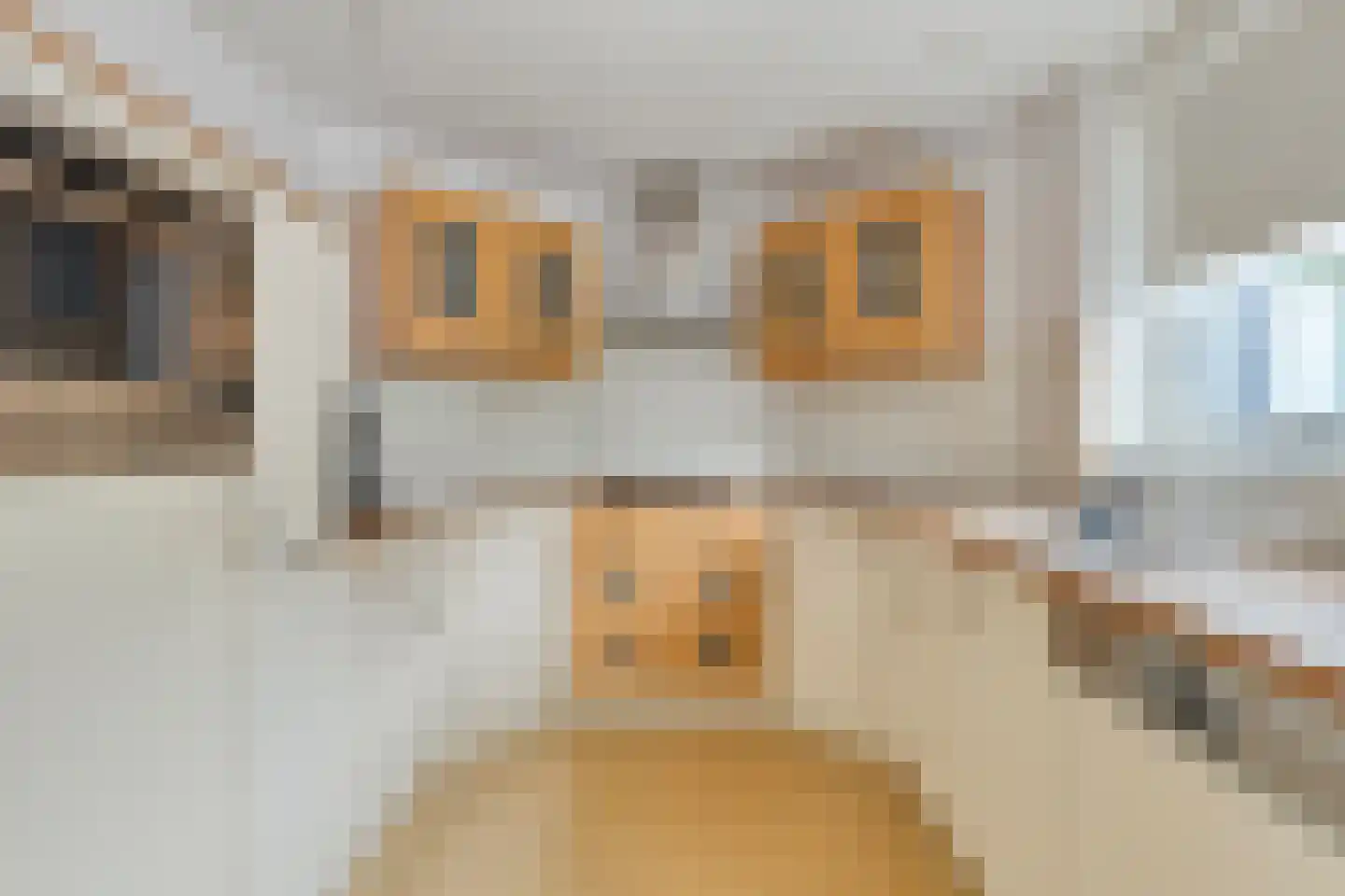 Lindenpad 13 Deest thumbnail 15