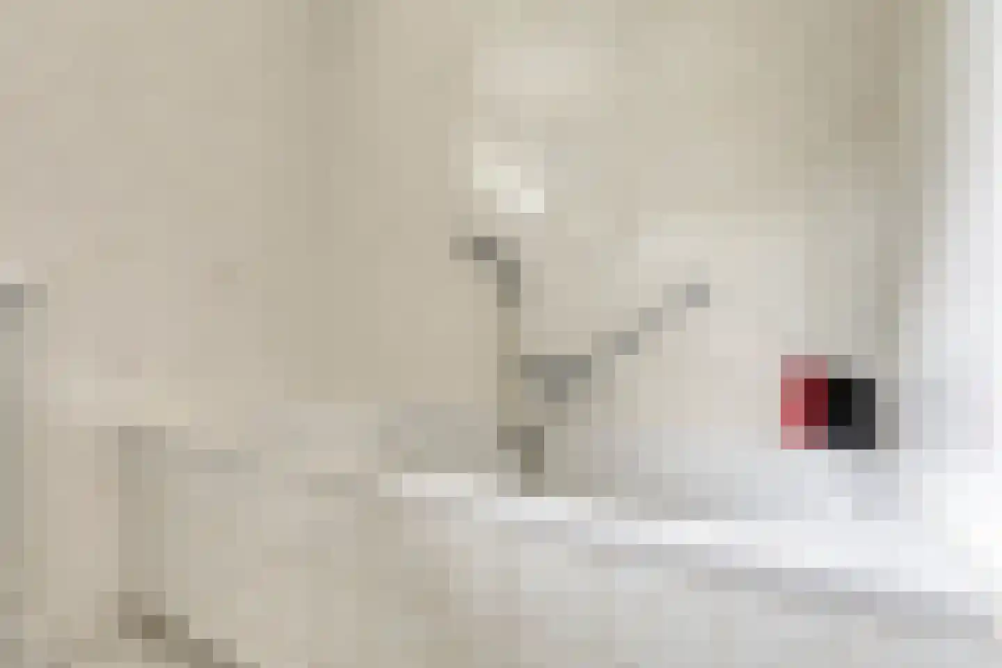 Lindenpad 13 Deest thumbnail 21